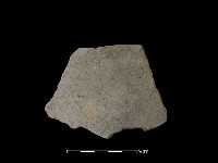 藏品(陶片)的圖片