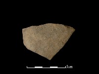 藏品(陶片)的圖片