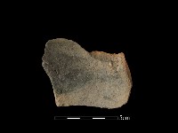 藏品(陶片)的圖片