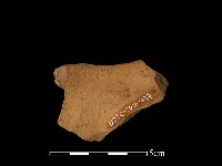 藏品(陶片)的圖片