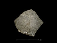 藏品(陶片)的圖片