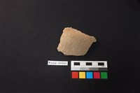 藏品(陶片)的圖片