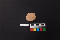 藏品(陶片)的圖片