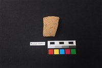 藏品(陶片)的圖片