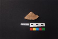 藏品(陶片)的圖片