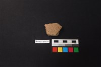 藏品(陶片)的圖片