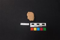 藏品(陶片)的圖片