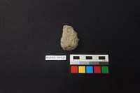 藏品(陶片)的圖片