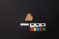 藏品(陶片)的圖片