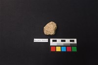 藏品(陶片)的圖片