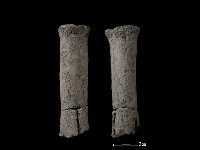 藏品(鼎足)的圖片