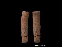 藏品(鼎足)的圖片