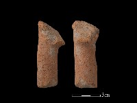 藏品(鼎足)的圖片