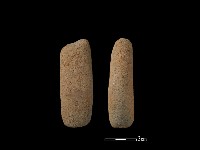 藏品(鼎足)的圖片