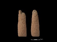 藏品(鼎足)的圖片