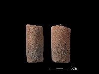 藏品(鼎足)的圖片