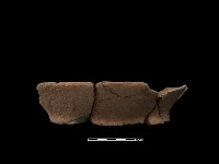 藏品(陶罐)的圖片