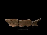 藏品(陶罐)的圖片