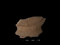 藏品(陶罐)的圖片