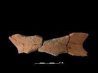 藏品(陶罐)的圖片