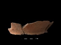 藏品(陶罐)的圖片