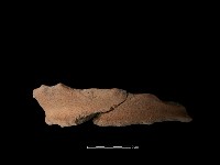 藏品(陶罐)的圖片