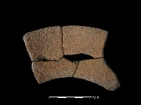 藏品(陶罐)的圖片