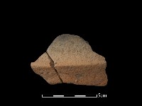 藏品(陶片)的圖片