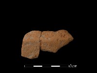 藏品(陶片)的圖片