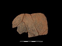 藏品(陶片)的圖片