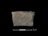 藏品(陶片)的圖片