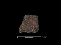 藏品(陶片)的圖片