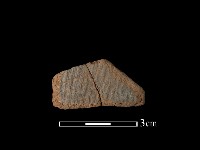 藏品(陶片)的圖片