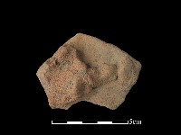 藏品(陶片)的圖片