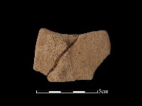 藏品(陶片)的圖片