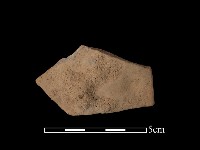 藏品(陶片)的圖片