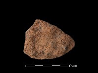 藏品(陶片)的圖片