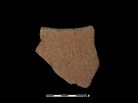 藏品(陶片)的圖片