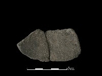 藏品(陶片)的圖片