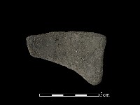 藏品(陶片)的圖片