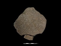 藏品(陶片)的圖片