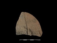 藏品(陶片)的圖片