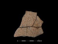 藏品(陶片)的圖片