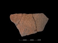 藏品(陶片)的圖片