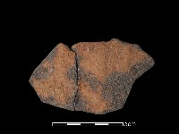 藏品(陶片)的圖片