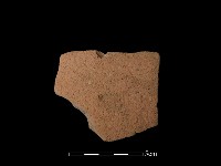 藏品(陶片)的圖片