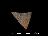 藏品(陶片)的圖片