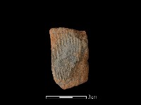 藏品(陶片)的圖片