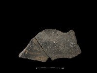 藏品(陶片)的圖片