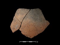 藏品(陶片)的圖片